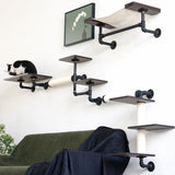 Smoky Rubber Wood Cat Shelves | Premium Wall-Mounted Cat Furniture Set