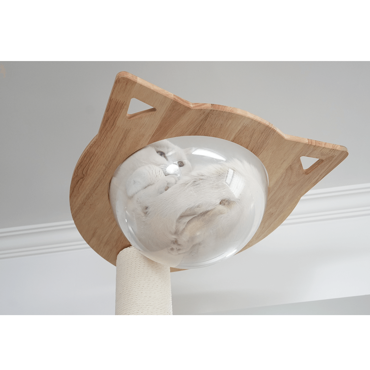 PETOMG Rubber Wood Ceiling to Floor Cat Tree, No Drilling, Adjustable Height (90.6'' - 110.2'')