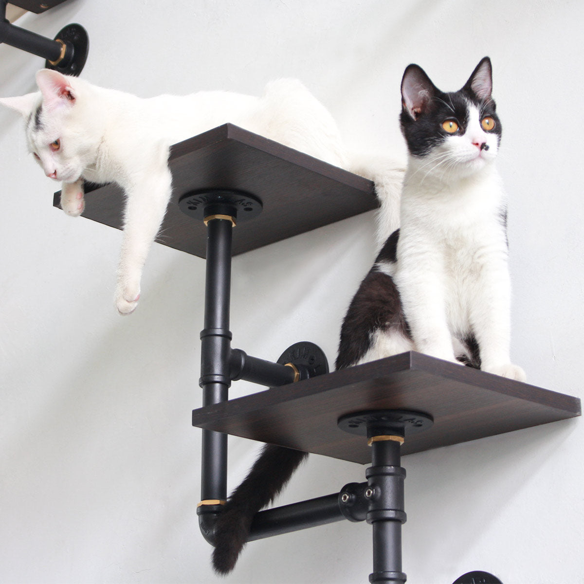 Industrial-Style Cat Climbing Wall