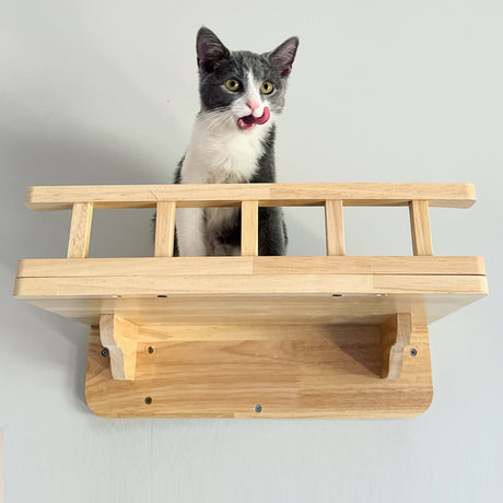 PETOMG Cat Perch, Cat Wall Bed, Cat Shelf Wall | Rubberwood