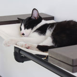 PETOMG Wall-Mounted Cat Shelf, Cat Hammock | Smoky Rubber Wood