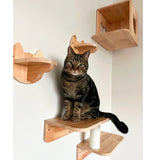 Cat Perch (Shleves) for Wall