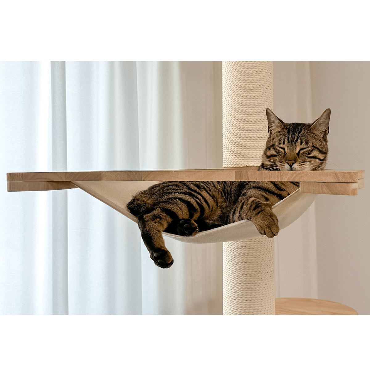 PETOMG Árbol para Gatos de Piso a Techo, Madera de Caucho, sin Perforaciones, Altura Ajustable (230 cm - 280 cm)