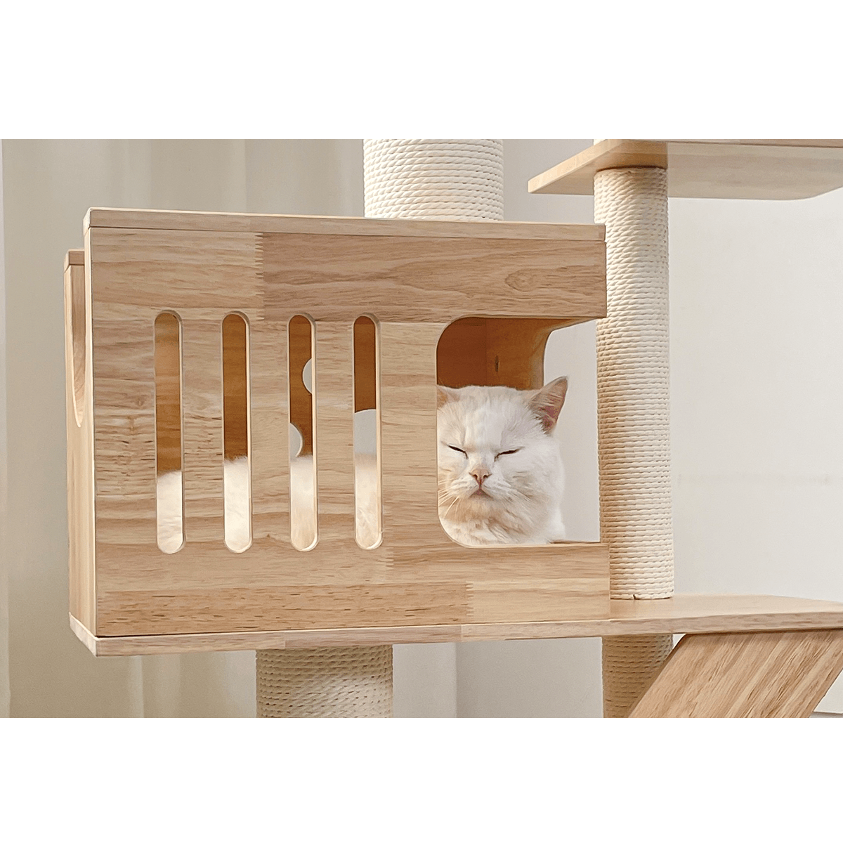 PETOMG Árbol para gatos estético de madera de caucho, árbol alto para gatos 55*42*179 cm