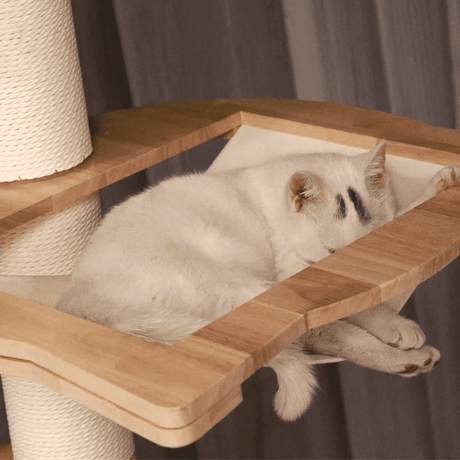 PETOMG Floor to Ceiling Cat Tower Accessories | Cat perch, Cat Hammock | Rubberwood