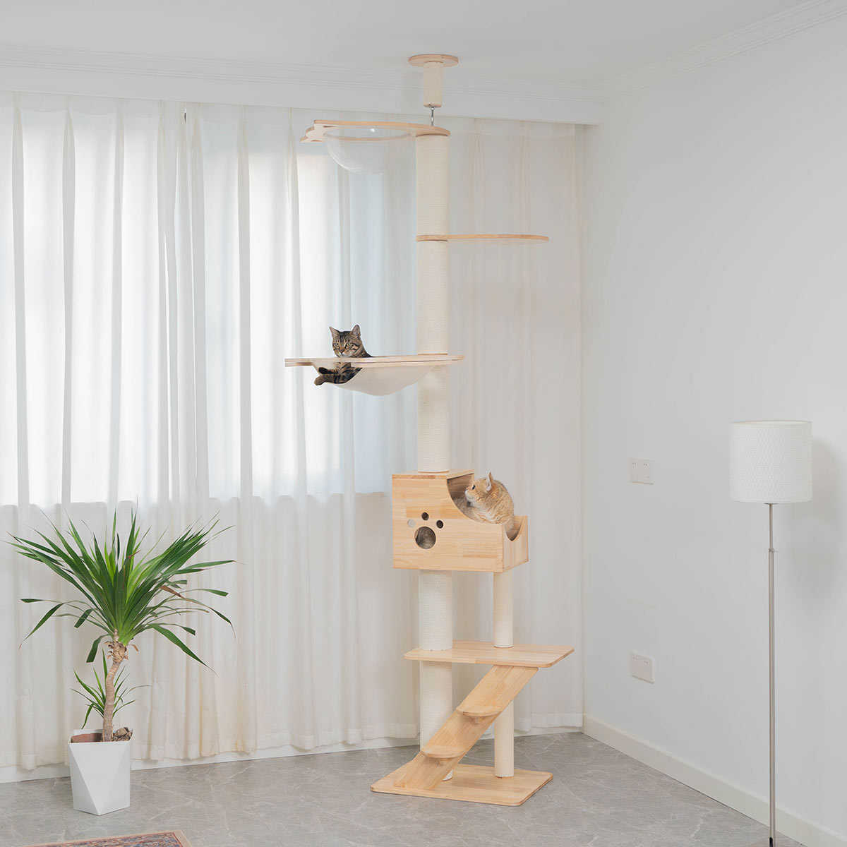 PETOMG Árbol para Gatos de Piso a Techo de Madera de Goma, sin Perforaciones, Altura Ajustable (230 cm - 280 cm)