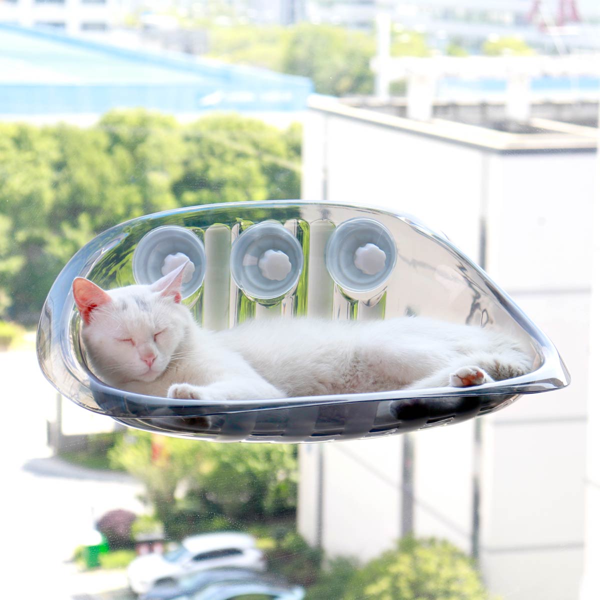 Cat Window Hammock with Washable Cover | PET Material | Big Cat Bed with Suction Cups | Support up to 44 lbs