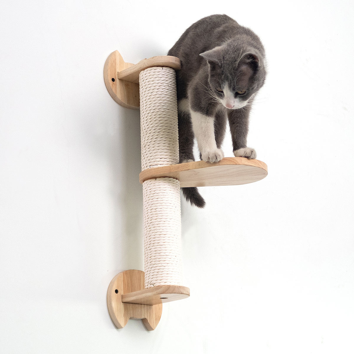 PETOMG Poste rascador para gatos, estantes de pared para gatos, paseos para gatos | Madera de caucho