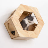 Wall Mounted Hexagon Cat Shelf Set | Rubber Wood