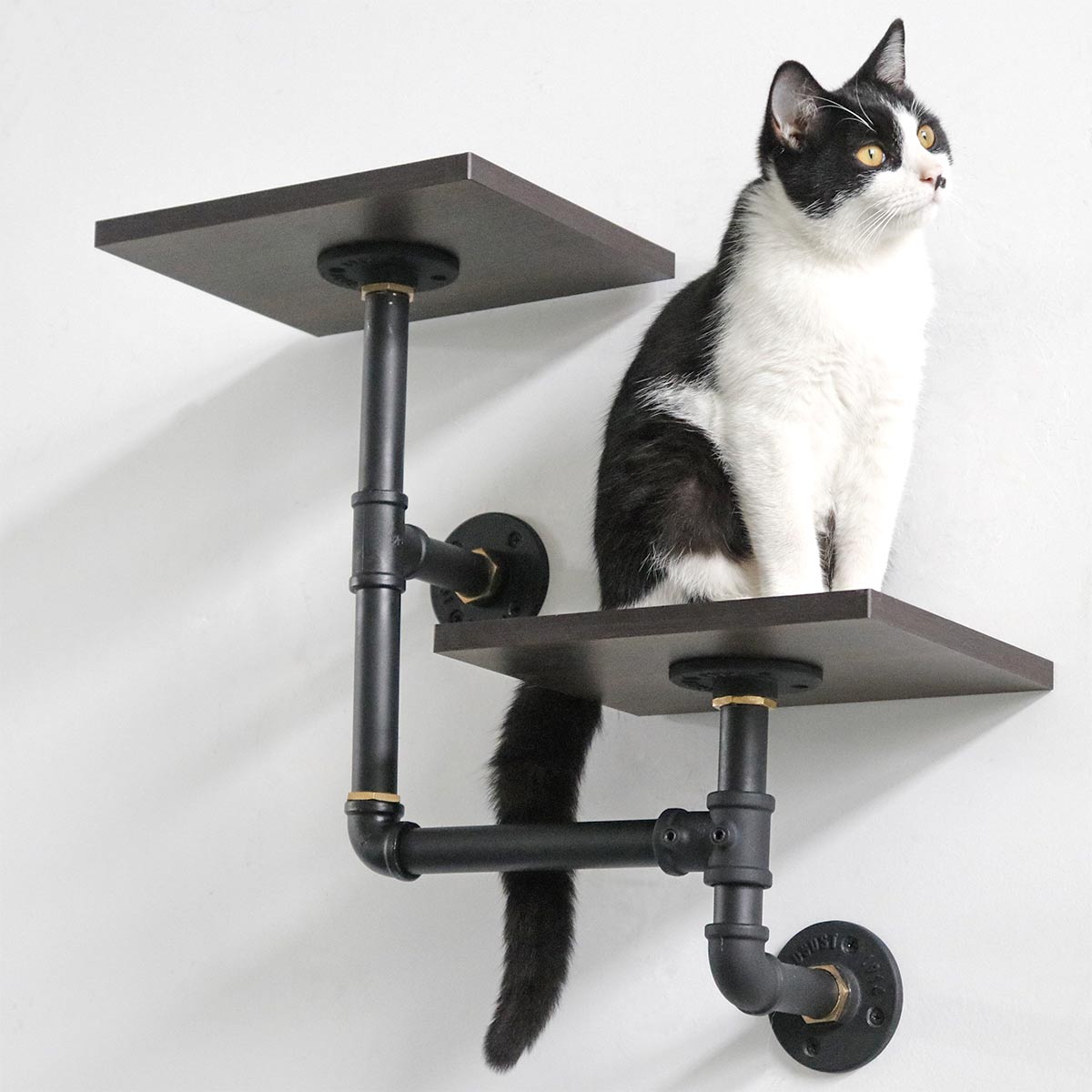 PETOMG Dual-Level Cat Climbing Shelves | Eco-Friendly Smoky Wood & Aluminum Design