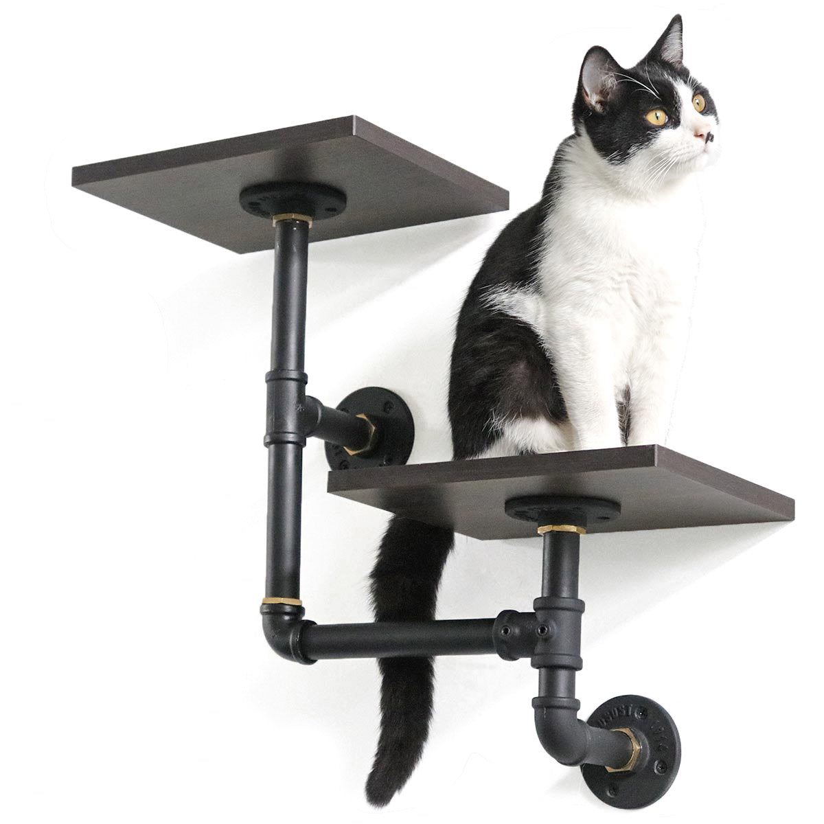 PETOMG Dual-Level Cat Climbing Shelves | Eco-Friendly Smoky Wood & Aluminum Design