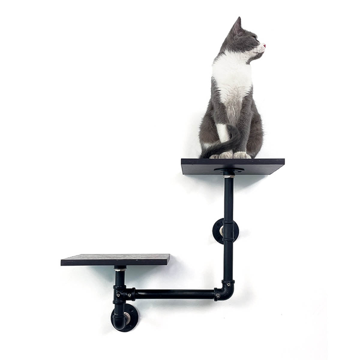 Dual-Level Industrial Cat Climbing Shelves