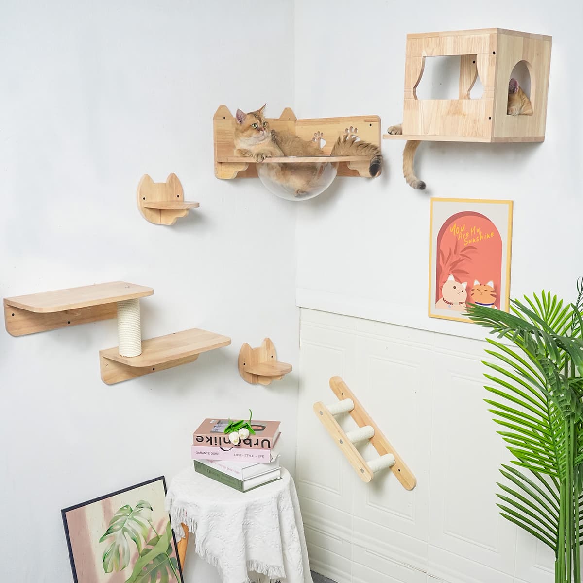 PETOMG Rubberwood Cat Shelves, Cat Wall Furniture| Cat Wall Mounted Set