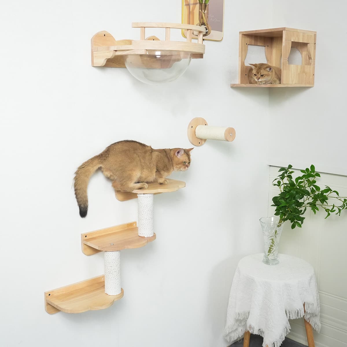 PETOMG Estantes para Gatos, Muebles de Pared para Gatos, Parque Infantil de Pared para Gatos de Bricolaje | Juego de pared para gatos | Madera de caucho