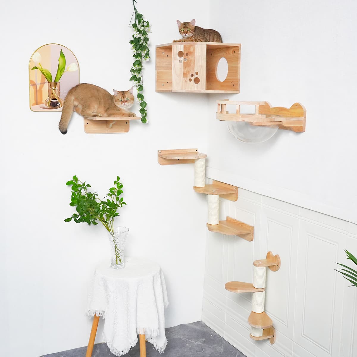 PETOMG Rubberwood Cat Shelves, DIY Cat Wall Shelf, Cat Perch | Cat Wall Mounted Set