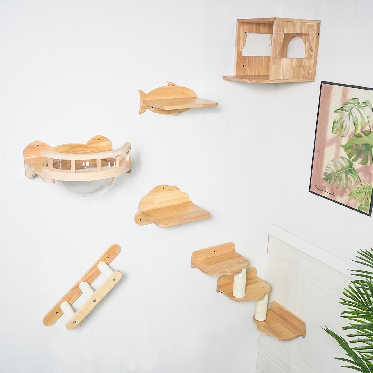 PETOMG Cat Shelves, DIY Cat Shelves, Cat Wall Furniture | Cat Wall Mounted Set | Rubberwood