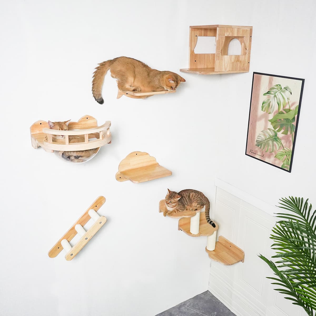 PETOMG Estantes para gatos, estantes para gatos DIY, muebles de pared para gatos | Juego de pared para gatos | Madera de caucho