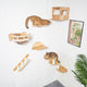 Best-Selling Cat Wall Set