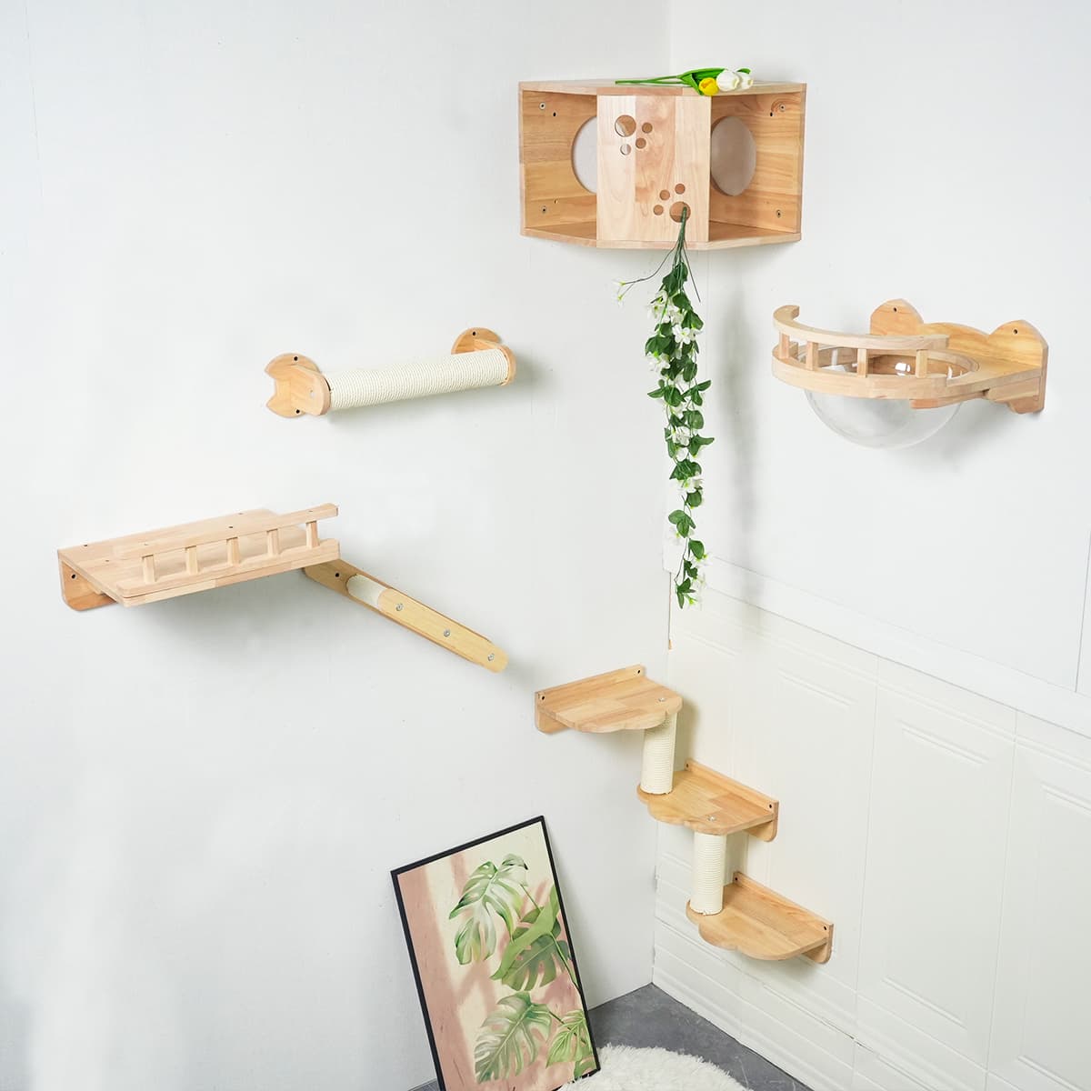 Existing Cat Set PETOMG Rubberwood Cat Shelves, DIY Cat Shelves | Cat Wall Mounted Set ...