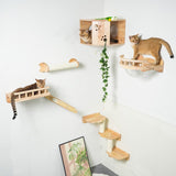 PETOMG Rubberwood Cat Shelves, DIY Cat Shelves | Cat Wall Mounted Set