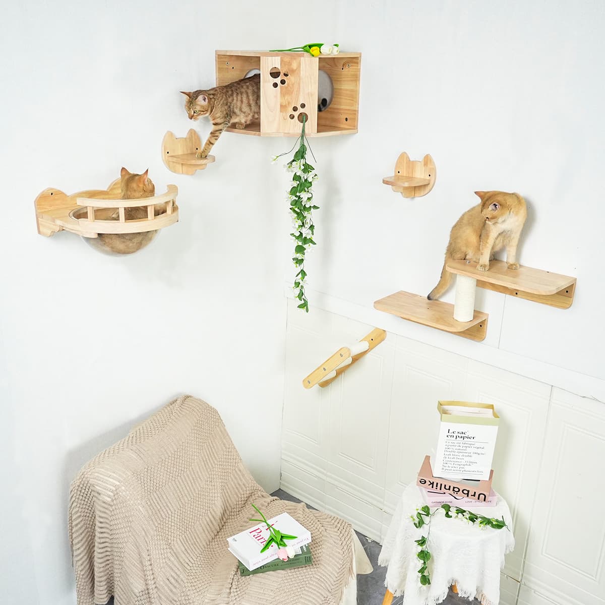 PETOMG Cat Shelves, DIY Cat Shelves, Rubberwood Cat Steps | Cat Wall Mounted Set