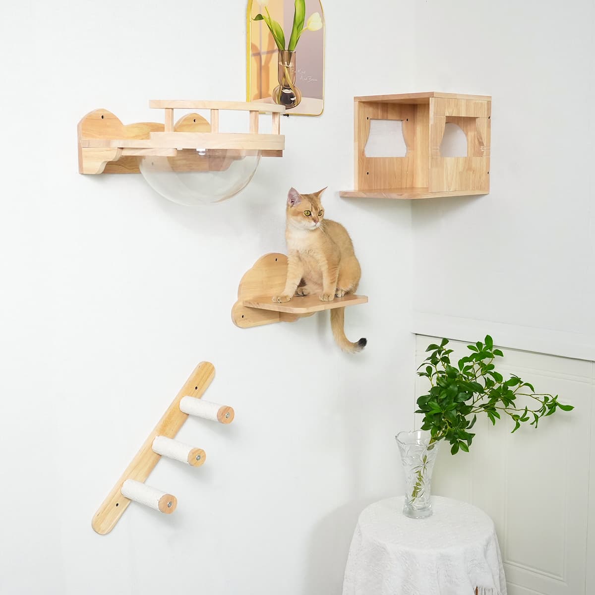 PETOMG Cat Walks, Cat Wall Steps, Cat Wall Shelves| Cat Wall Mounted Set| Rubberwood