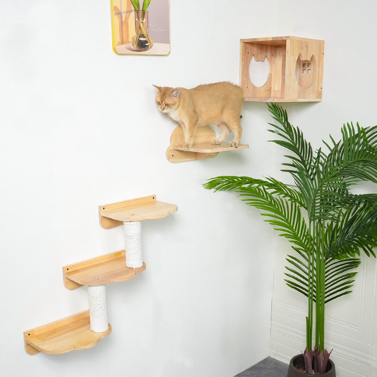 PETOMG DIY Cat Shelves, Cat Wall Furniture, Cat Wall Steps| Cat Wall Mounted Set| Rubberwood