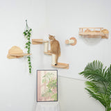 PETOMG Cat Shelves, Cat Climbers for Wall, Cat wall | Cat Wall Mounted Set | Rubberwood