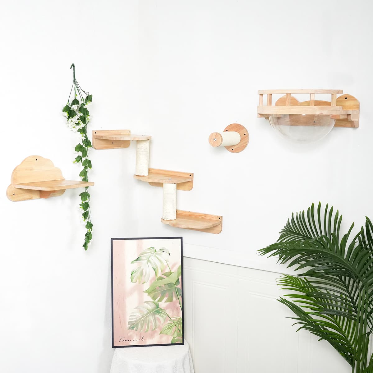 PETOMG Cat Shelves, Cat Climbers for Wall, Cat wall | Cat Wall Mounted Set | Rubberwood