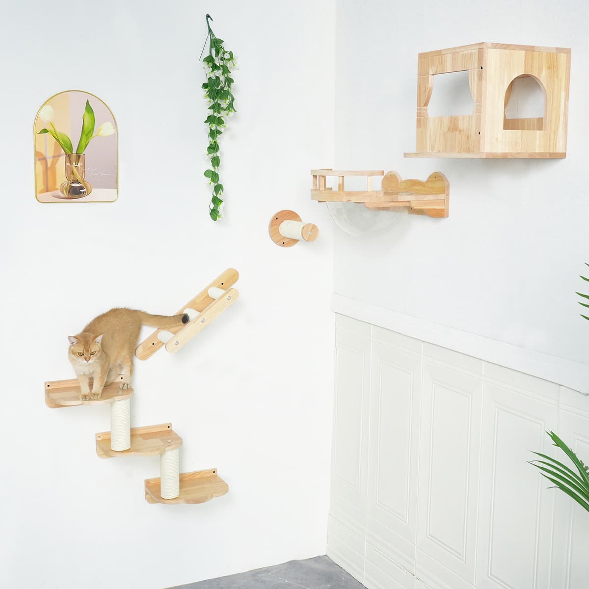 PETOMG Cat Shelves, Cat Climbers for Walls, Cat Wall Steps | Cat Wall Mounted Set | Rubberwood