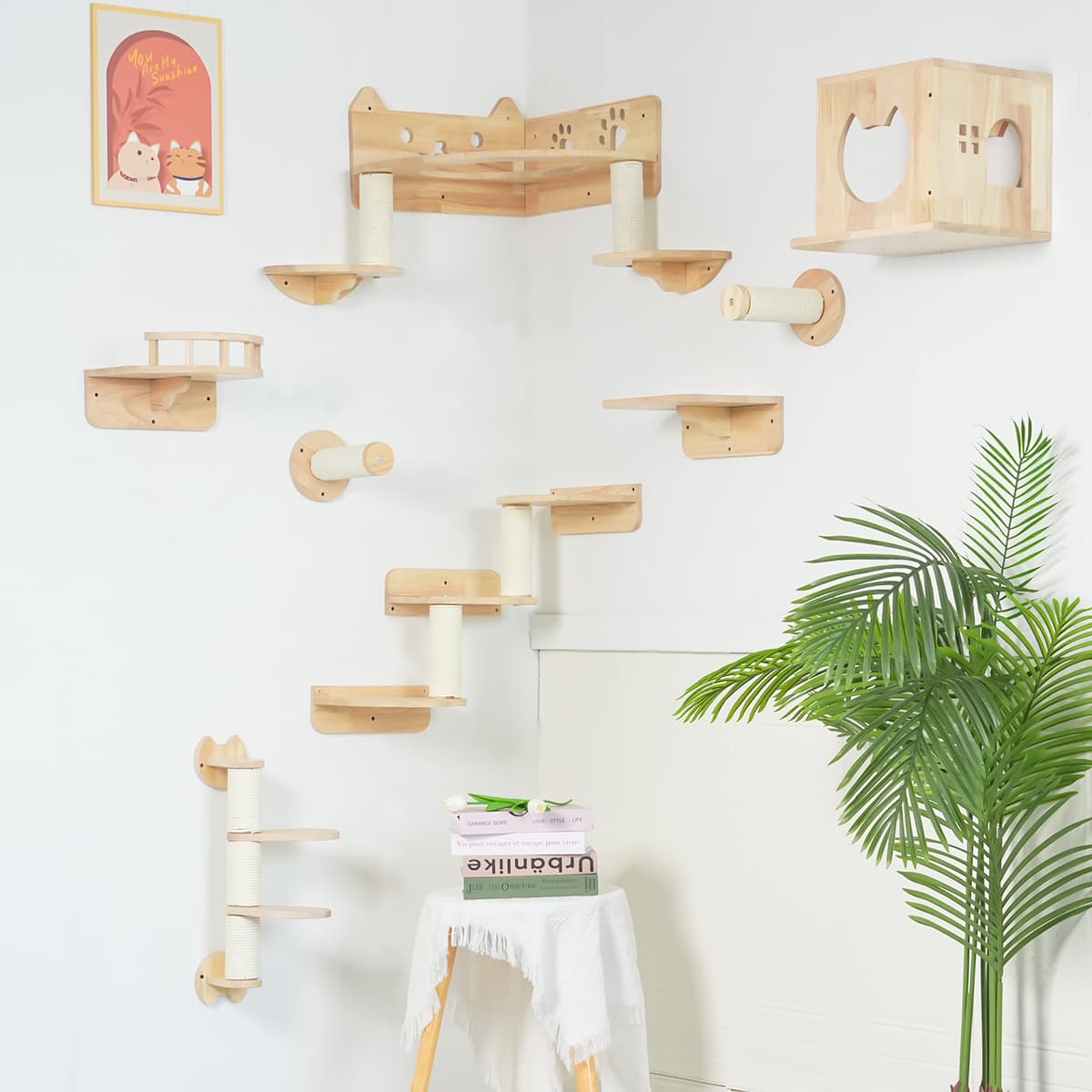 PETOMG Rubberwood Cat Shelves, DIY Cat Steps, Large Cat Perch | Cat Wall Mounted Set