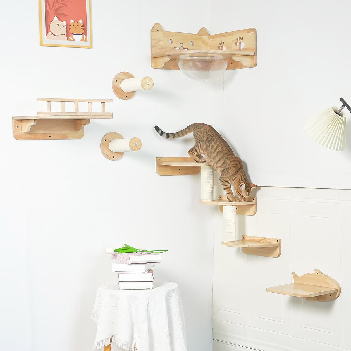 PETOMG Estantes para gatos, estante de pared para gatos DIY, escalones para gatos de madera de caucho | Juego de pared para gatos