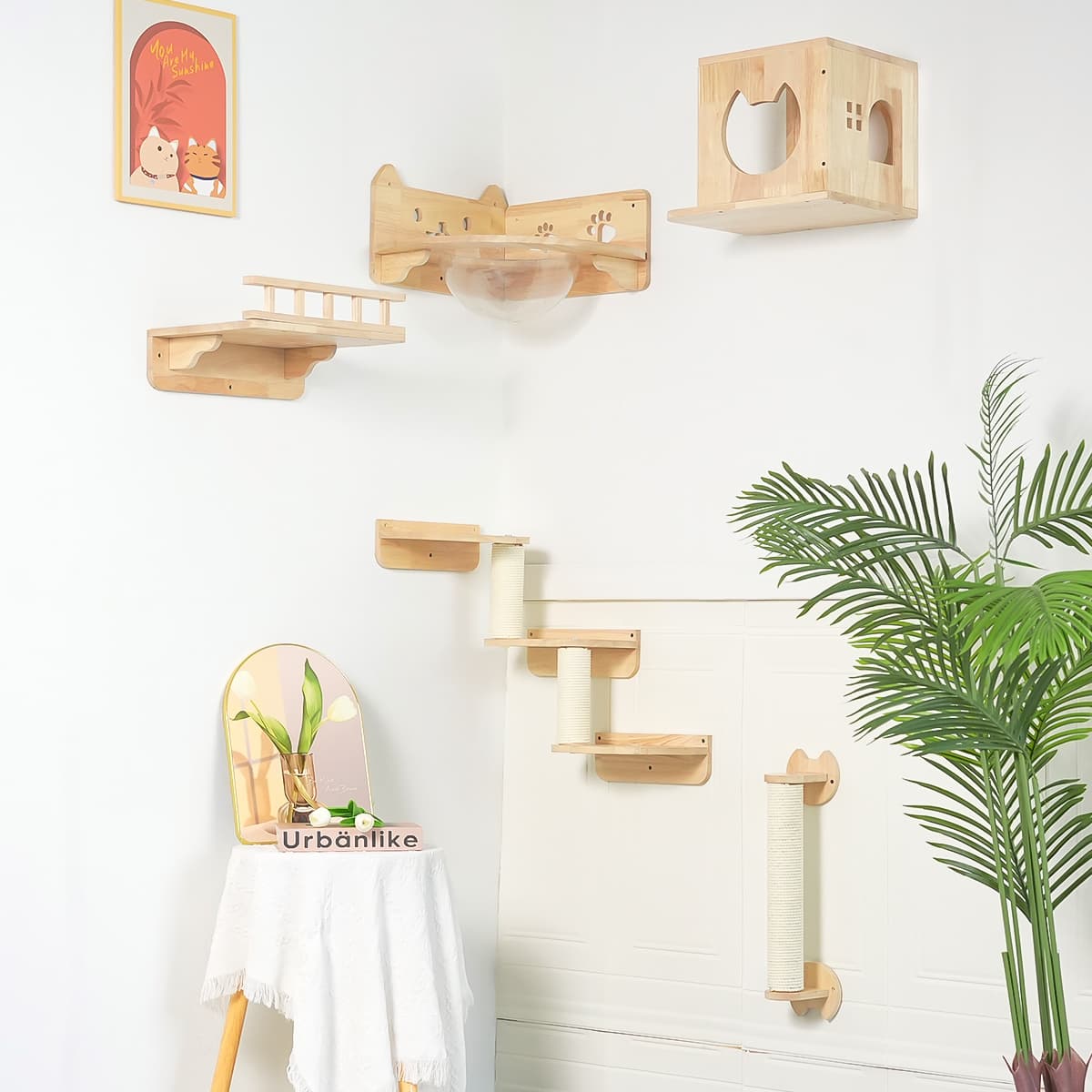 PETOMG DIY Cat Shelves, Rubberwood Cat Wall Furniture| Cat Wall Mounte ... - Cat Wall Mounted Storage Using Reclaimed Wood