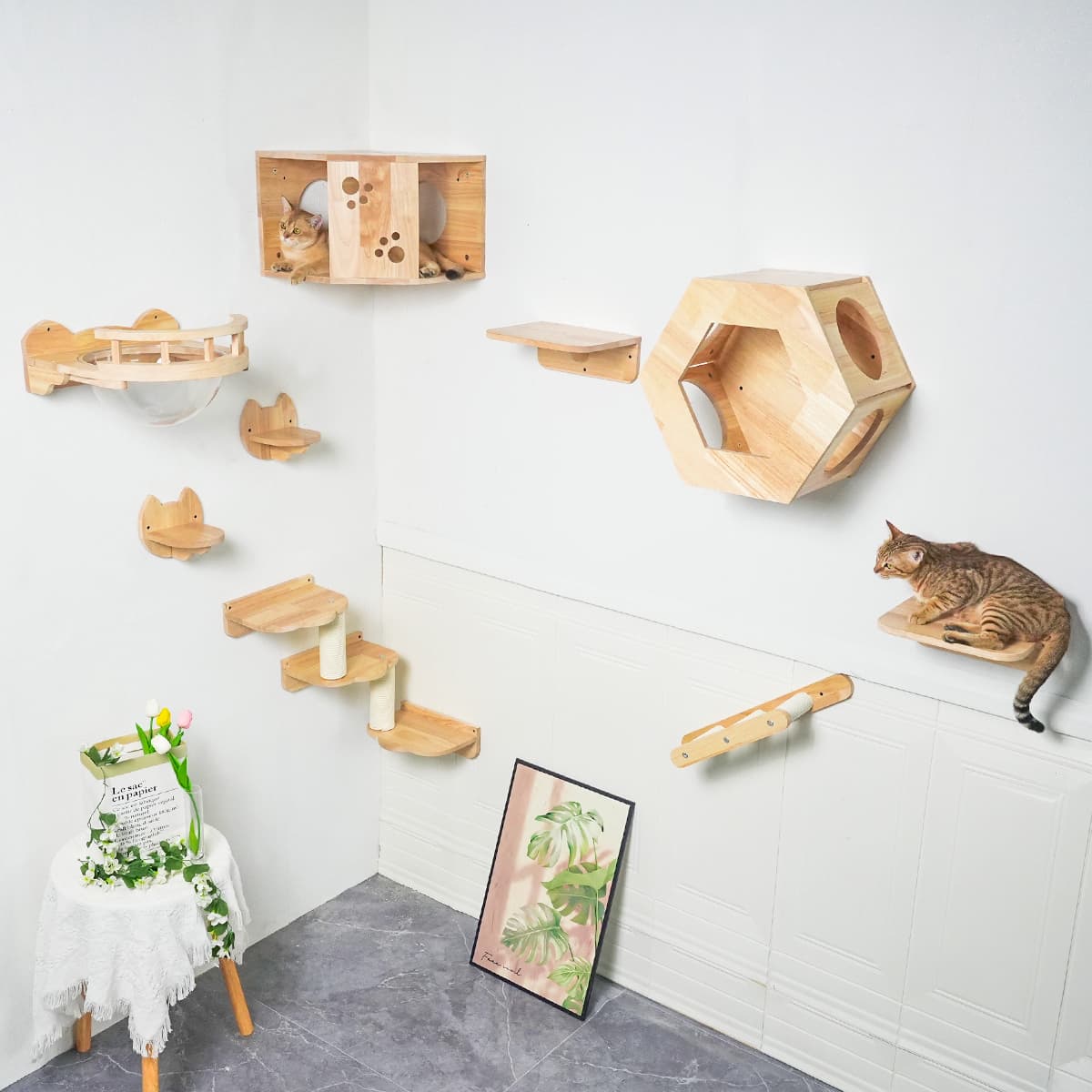 PETOMG Estantes para gatos, estante de pared para gatos DIY, paseos para gatos | Juego de pared para gatos | Madera de caucho