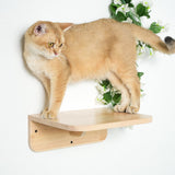 PETOMG Rubberwood Cat Shelves, DIY Cat Steps, Large Cat Perch | Cat Wall Mounted Set