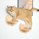 PETOMG Estantes para gatos de madera de caucho, muebles de pared para gatos | Juego de pared para gatos