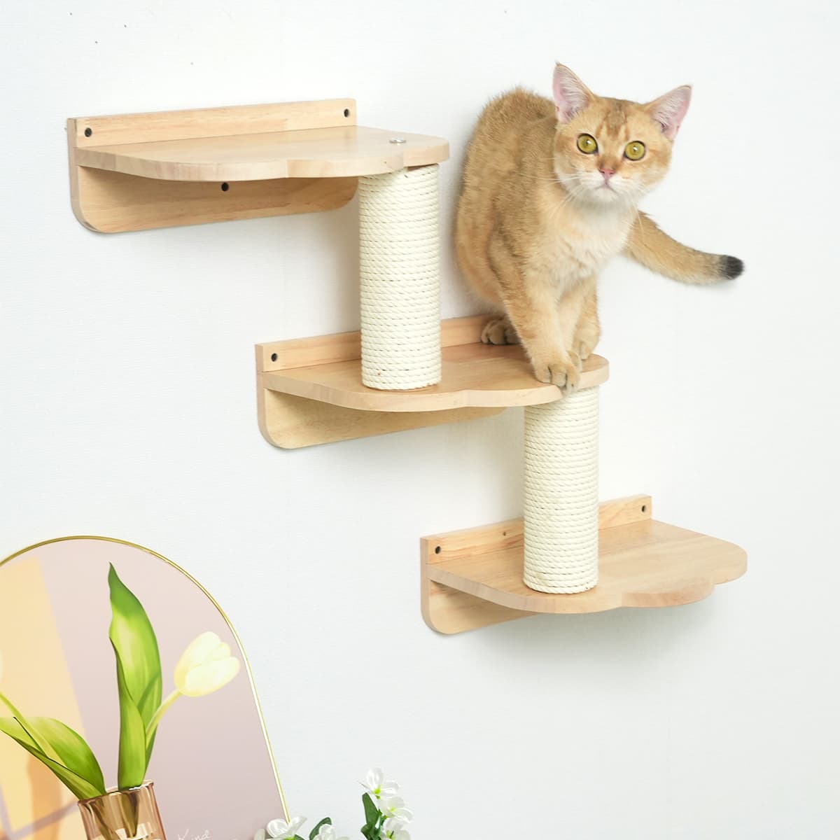 PETOMG DIY Cat Shelves, Rubberwood Cat Wall Furniture| Cat Wall Mounted Set