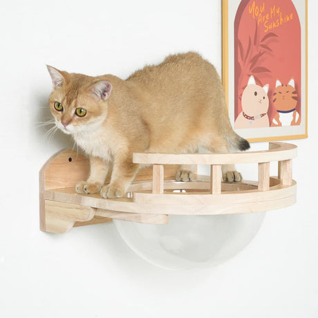PETOMG Cat Shelves, Cat Wall Furniture, Diy Cat Wall Playground | Cat Wall Mounted Set | Rubberwood