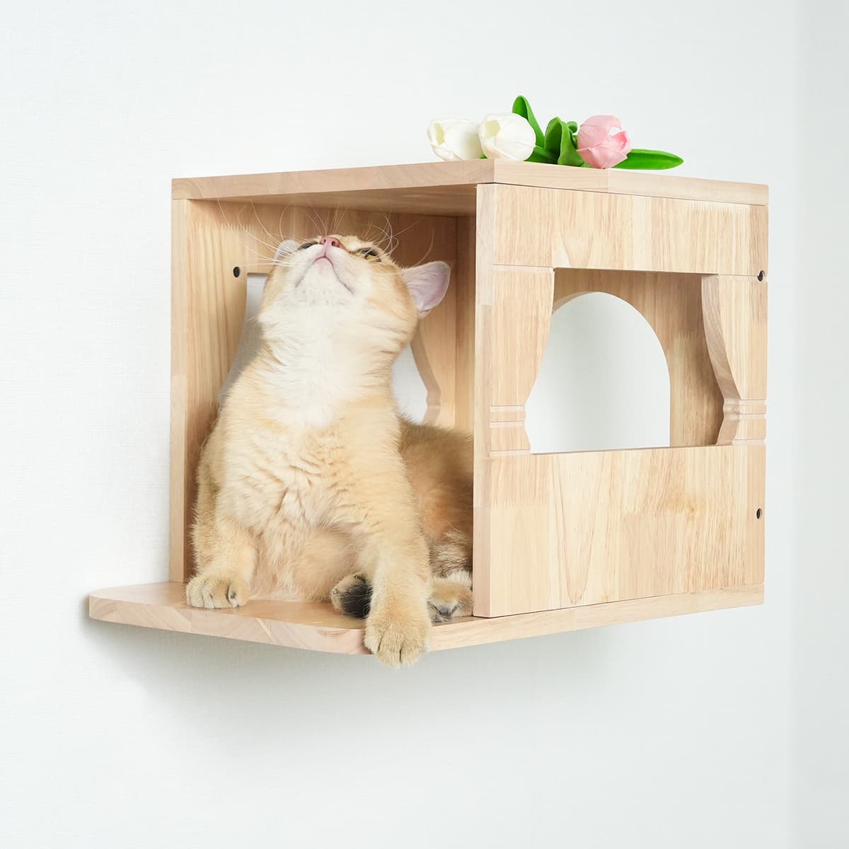 PETOMG Paseos para gatos, escalones de pared para gatos, estantes de pared para gatos | Juego de pared para gatos | Madera de caucho