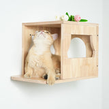 PETOMG Rubberwood Cat Shelves, Cat Wall Furniture| Cat Wall Mounted Set