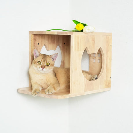 PETOMG DIY Cat Shelves, Rubberwood Cat Wall Furniture| Cat Wall Mounted Set