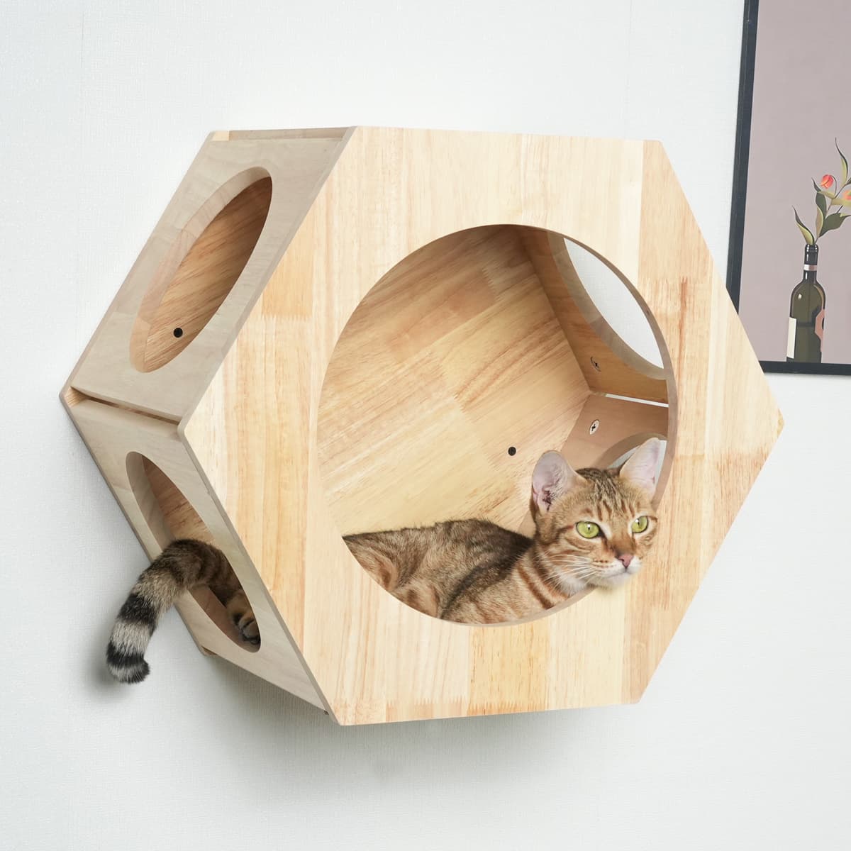 PETOMG Rubberwood Cat Shelves, Cat Perch, Cat Walks | Cat Wall Mounted Set