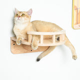 PETOMG Estantes de madera de caucho para gatos, escalones para gatos DIY, percha grande para gatos | Juego de pared para gatos