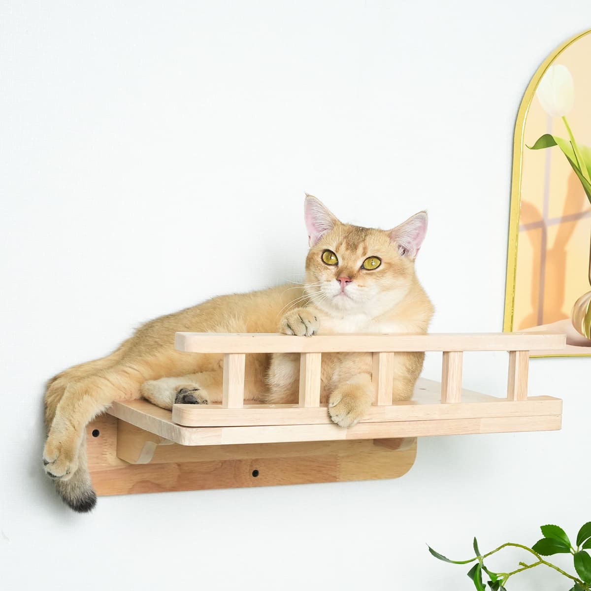 PETOMG Estantes para gatos DIY, muebles de pared para gatos de madera de caucho | Juego de pared para gatos