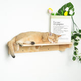 PETOMG Cat Shelves, Rubberwood DIY Cat Shelves| Cat Wall Mounted Set