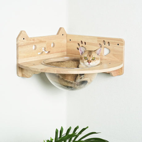 PETOMG Cat Shelves, DIY Cat Shelves, Rubberwood Cat Climber | Cat Wall Mounted Set