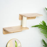 PETOMG Escalones de pared para gatos, escalera para gatos, paseos para gatos, escaladores para paredes | Madera de caucho