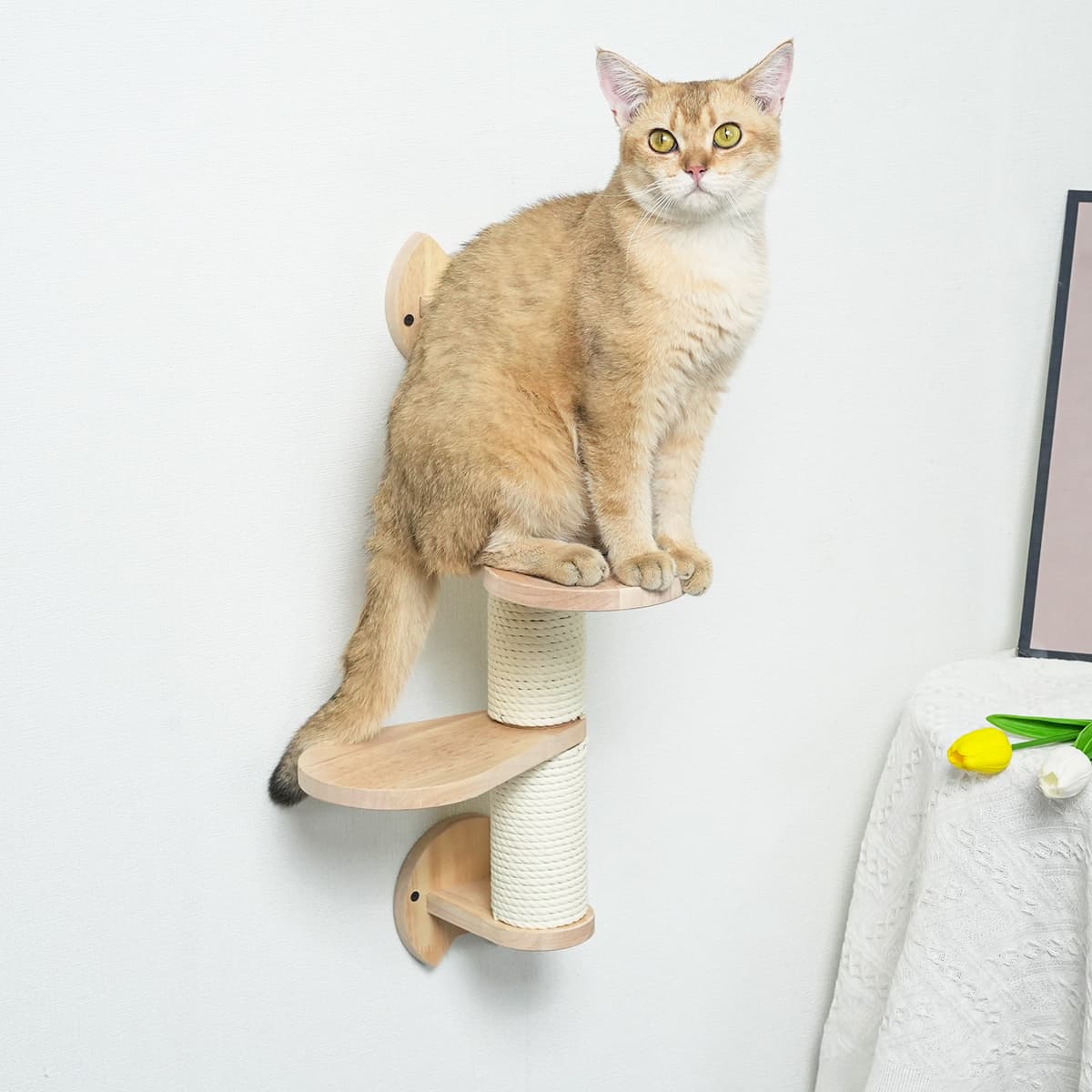 PETOMG Cat Scratching Post, Cat Wall Steps, Cat Shelf | Rubberwood