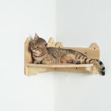 PETOMG Cat Perch, Cat Wall Shelf, Wall Mounted Cat Shelf | Rubberwood