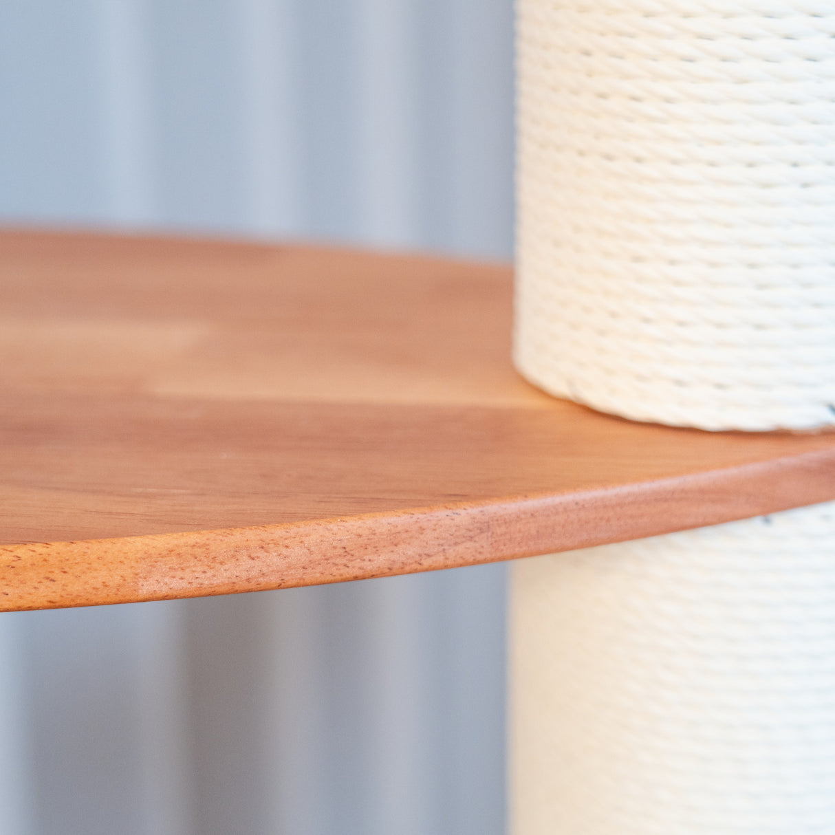 PETOMG Árbol para Gatos de Madera de Goma del Piso al Techo, sin Perforaciones, Altura Ajustable (230 cm - 280 cm)